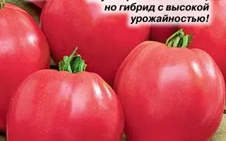 ОКСДЕССЕРТ