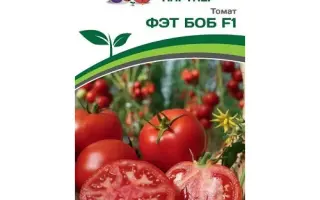 ФЭТ БОБ