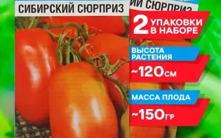 РАННИЙ СЮРПРИЗ