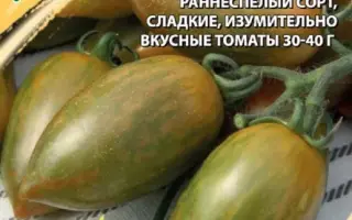 ЛЕДЕНЕЦ ИЗУМРУДНЫЙ