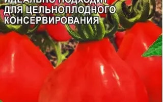 ЛАМПОЧКА АЛТАЙСКАЯ