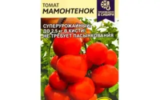 НИЗКОРОСЛ МАМОНТЕНОК