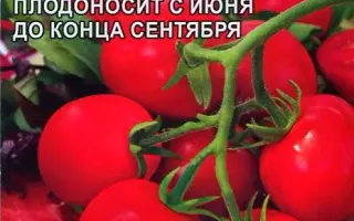 НИЗКОРОСЛЫЙ ЗАПУНЯКА