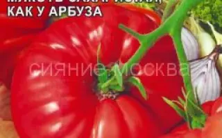 АЛТАЙСКИЙ САХАР