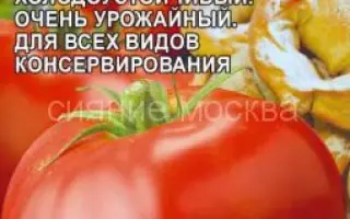 КУЛЕМА АЛТАЙСКАЯ