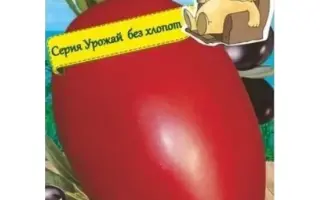 БУЯН МАЛИНОВЫЙ