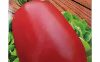 КЕНИГСБЕРГ МАЛИНОВЫЙ