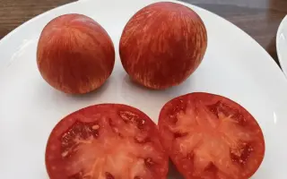 БЕЛЬБЕК