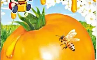 МЕДОВЫЙ ТОЛСТОПУЗ