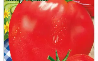 ДАЧНЫЙ КРУПНОСПЕЛ