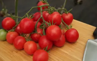 ФОРМУЛА ЛЮБВИ