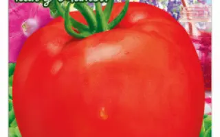 МАРМЕЛАДЫЧ