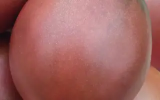 ШОКОЛАДНЫЙ БЫК