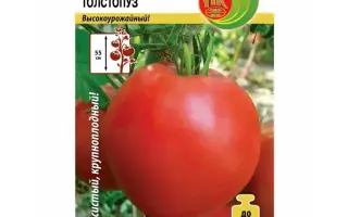 ТОЛСТОПУЗИКИ