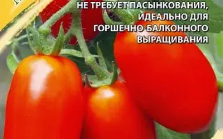 МАЛЫШОК КРЕПЫШОК