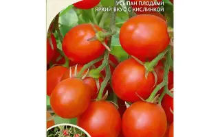 СЛАДКИЕ ДОЛЬКИ