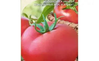 ВООБРАЖУЛЯ