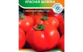 КРАСНАЯ ШЛЯПКА