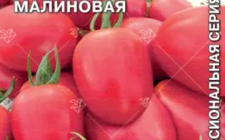 МАЛИНОВЫЕ СЛИВКИ