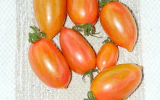 ПОМ СВИТ КАНДИ