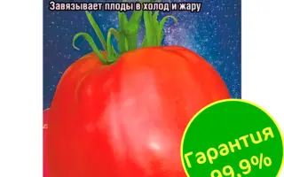 МАЛИНОВЫЙ ТЮЛЕНЬ