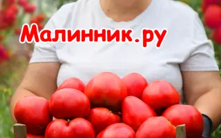 СЕРДЦЕ МИНУСИНСКА