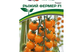 РЫЖИЙ ФЕРМЕР