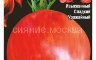 СЕРДЦЕ КРАСНОГО ДРАКОНА