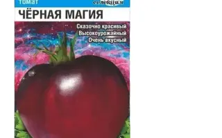 ЧЕРНАЯ МАГИЯ