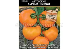 ОРАНЖЕВЫЙ ШАР