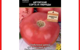 РОЗОВЫЙ РАЙ