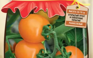 БЕМБИ ЗОЛОТОЙ