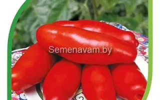 САНЬКИНА ЛЮБОВЬ