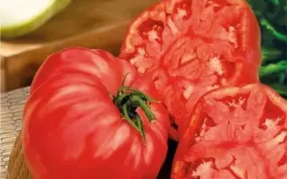 САМБОЛ РОЗОВЫЙ