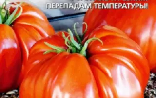 ВЫБЕРИ МЕНЯ