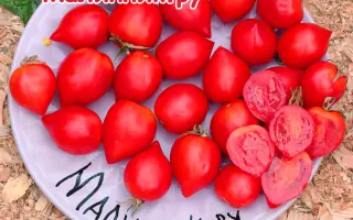 ЖАРКИЙ ПОЦЕЛУЙЧИК