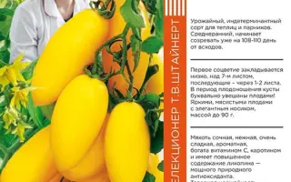 КАНДИНСКИЙ