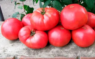 МИЛЛАНДРО