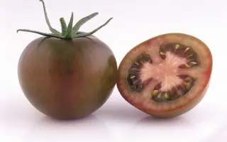 ОЛЬМЕКА