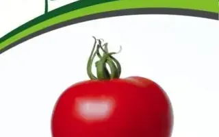 ДЕРЗКИЙ ФРАНК