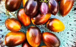 АТОМНЫЙ БРЕДА