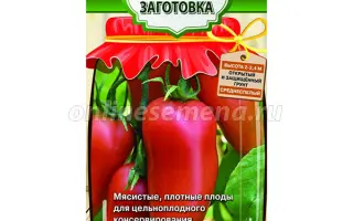 ДОМАШНИЙ РАЗНОСОЛ