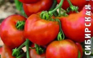 ДРУЖНЫЕ РЕБЯТА