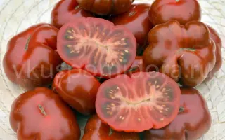 ЧОКОЛАТИНИ