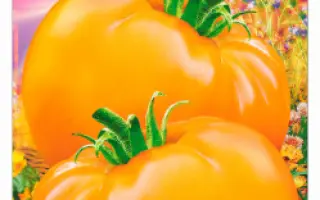 МОЁ СОЛНЫШКО