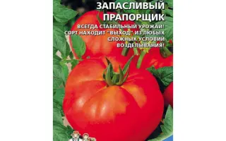 ЗАПАСЛИВЫЙ ПРАПОРЩИК