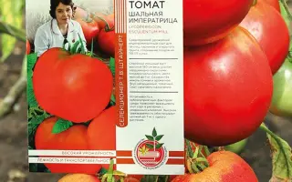 ШАЛЬНАЯ ИМПЕРАТРИЦА