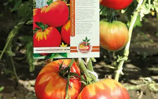 СЕМЕЙНОЕ СЧАСТЬЕ