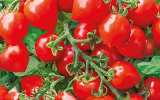 БАЛКОННЫЕ СЕРДЕЧКИ