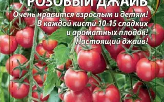 РОЗОВЫЙ ДЖАЙВ